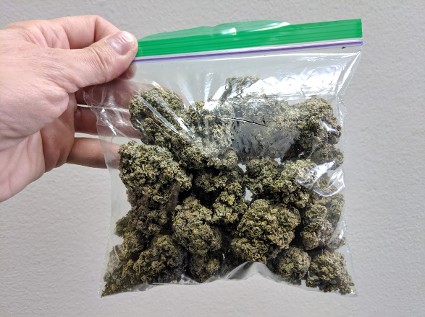 Sandwich Bag of Marijuana Prop